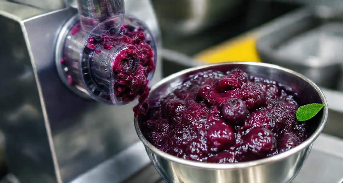 fabrication artisanale : sorbet myrtille a facon